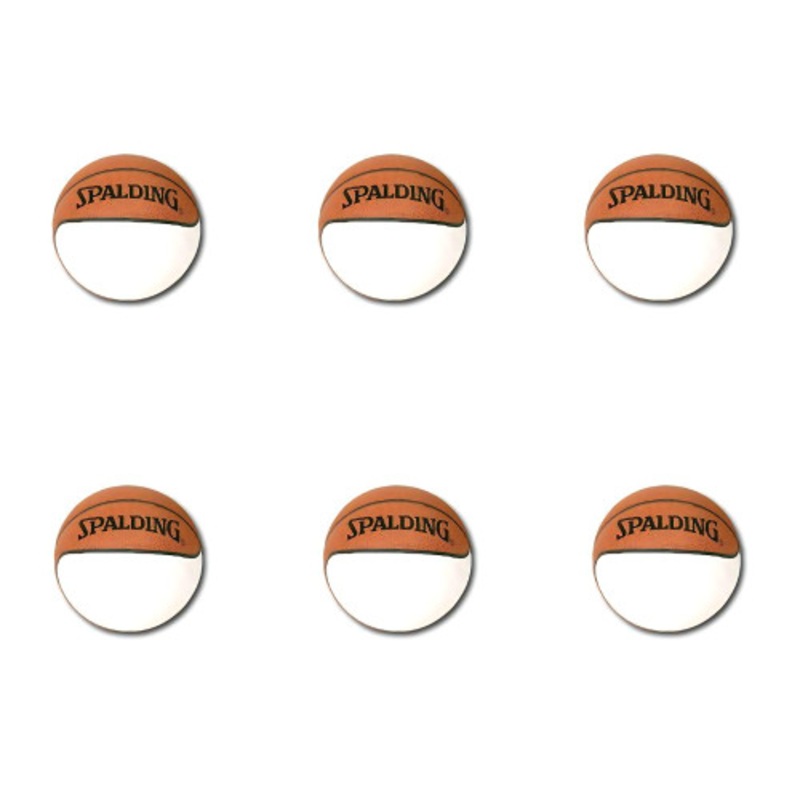 6 NBA Mini One Panel Autograph Basketballs by Spalding