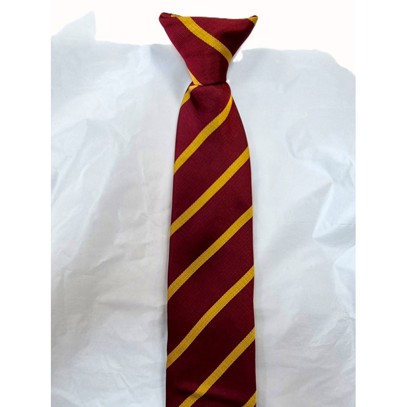 Risca Comprehensive Clip On Tie- Years 7-9