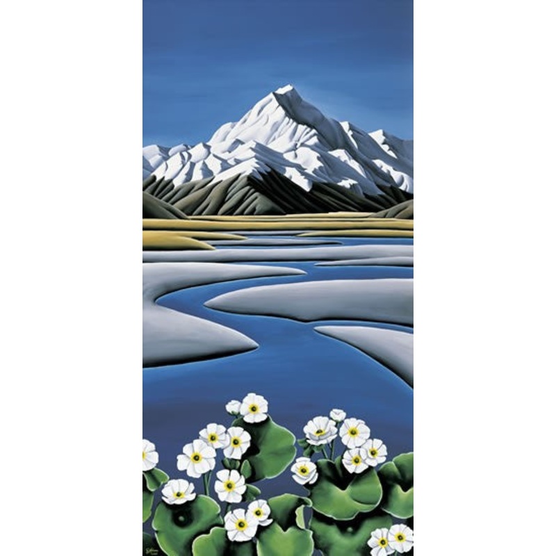 Mount Cook – Paper Print with Black Frame by Diana Adams 40 x 20cm