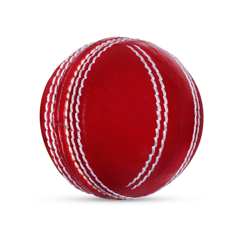 WHACK Spin training Cricket Leather Ball