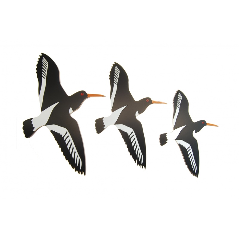 Oystercatcher Trio – Wall Art by Ian Blackwell