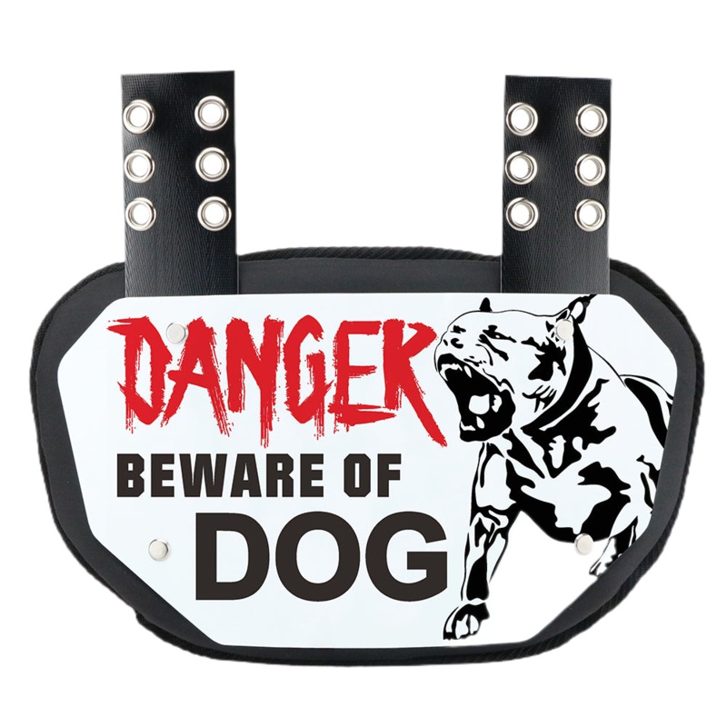 Reyrr Dawg Back plate