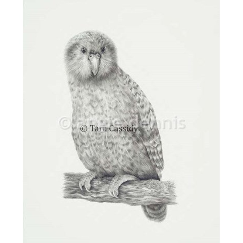 Kakapo Print by Tara Cassidy