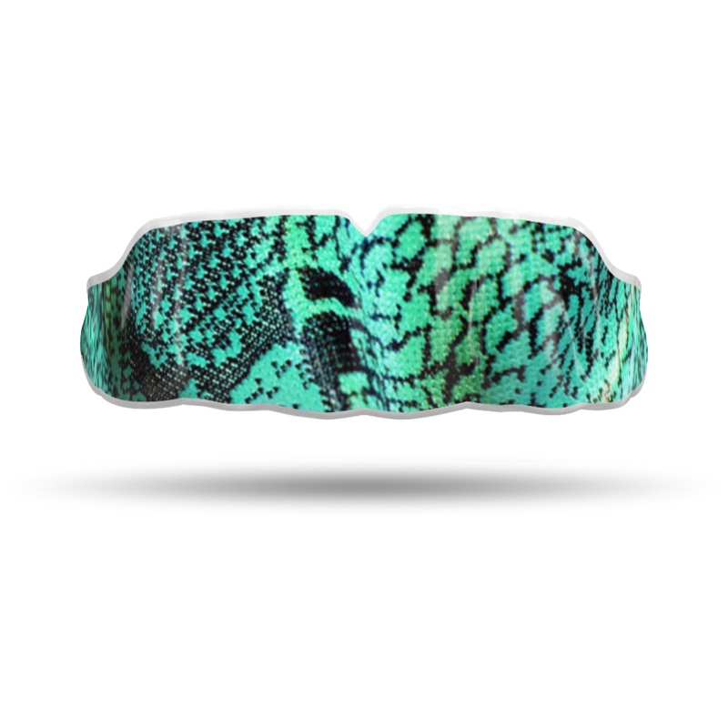 Teal Snake