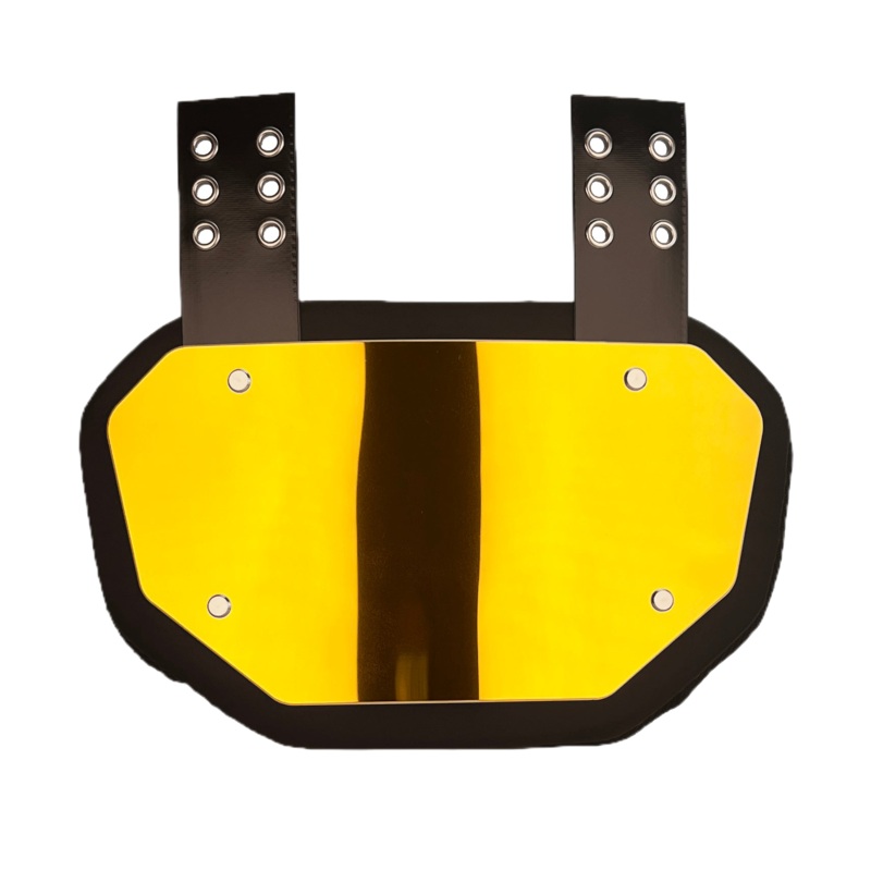 Reyrr Gold Back Plate