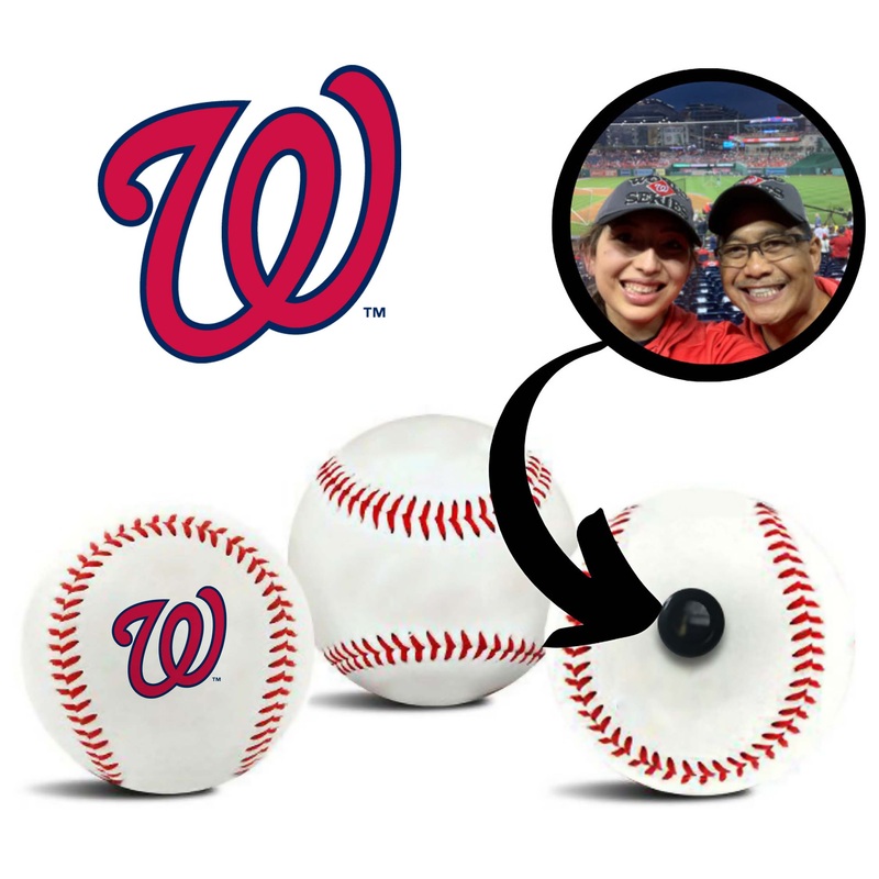 Washington Nationals MLB Baseball
